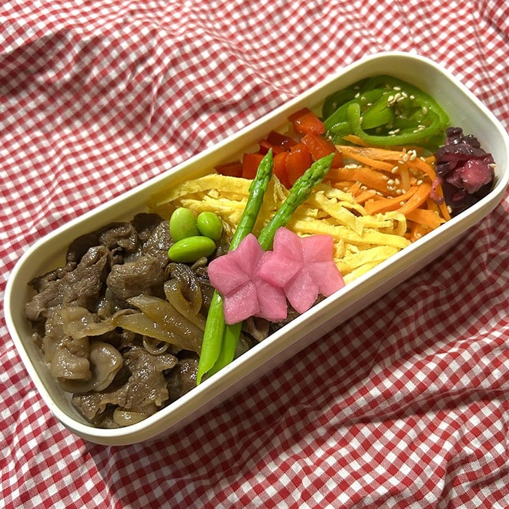 彩り牛丼弁当
