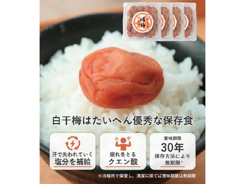 災害時備蓄用梅干し