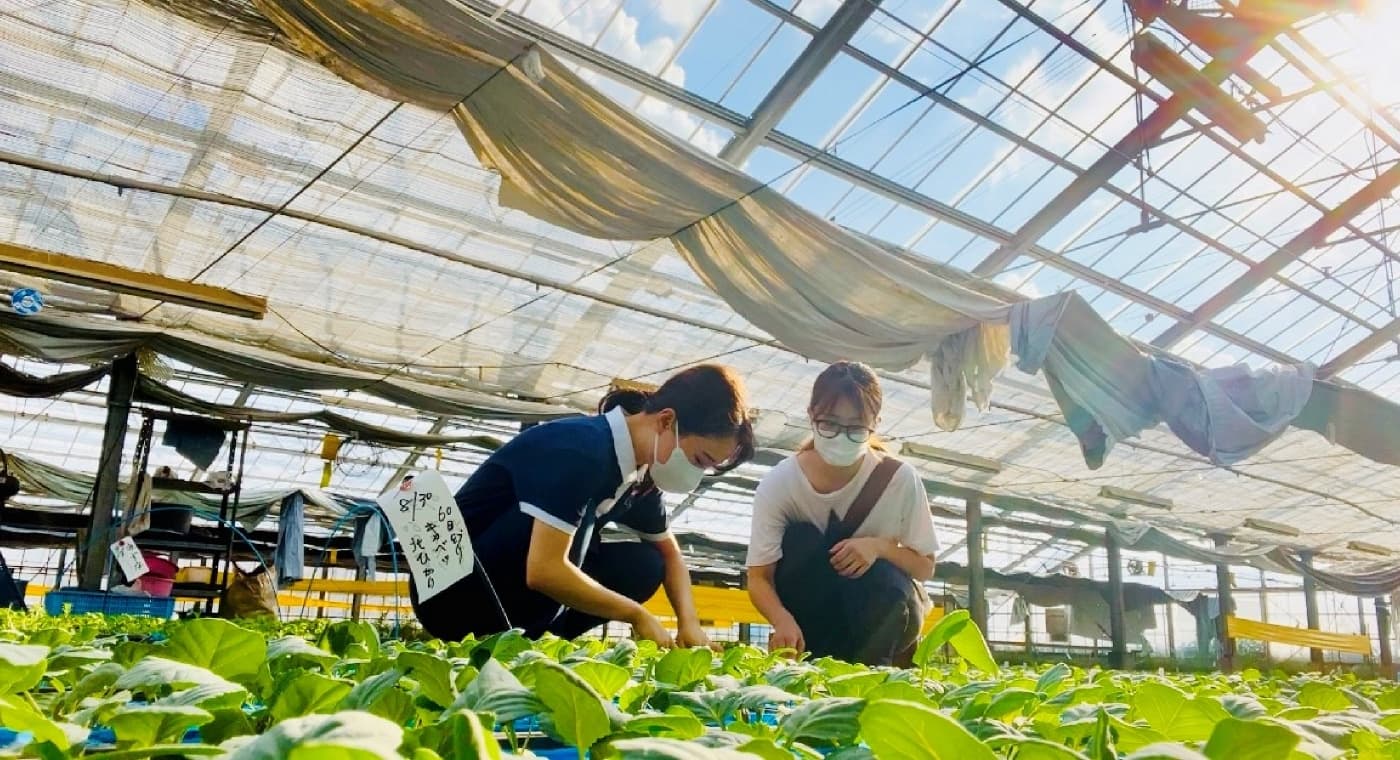 五感で学ぶ「可農性」 | 食から日本を考える。NIPPON FOOD SHIFT